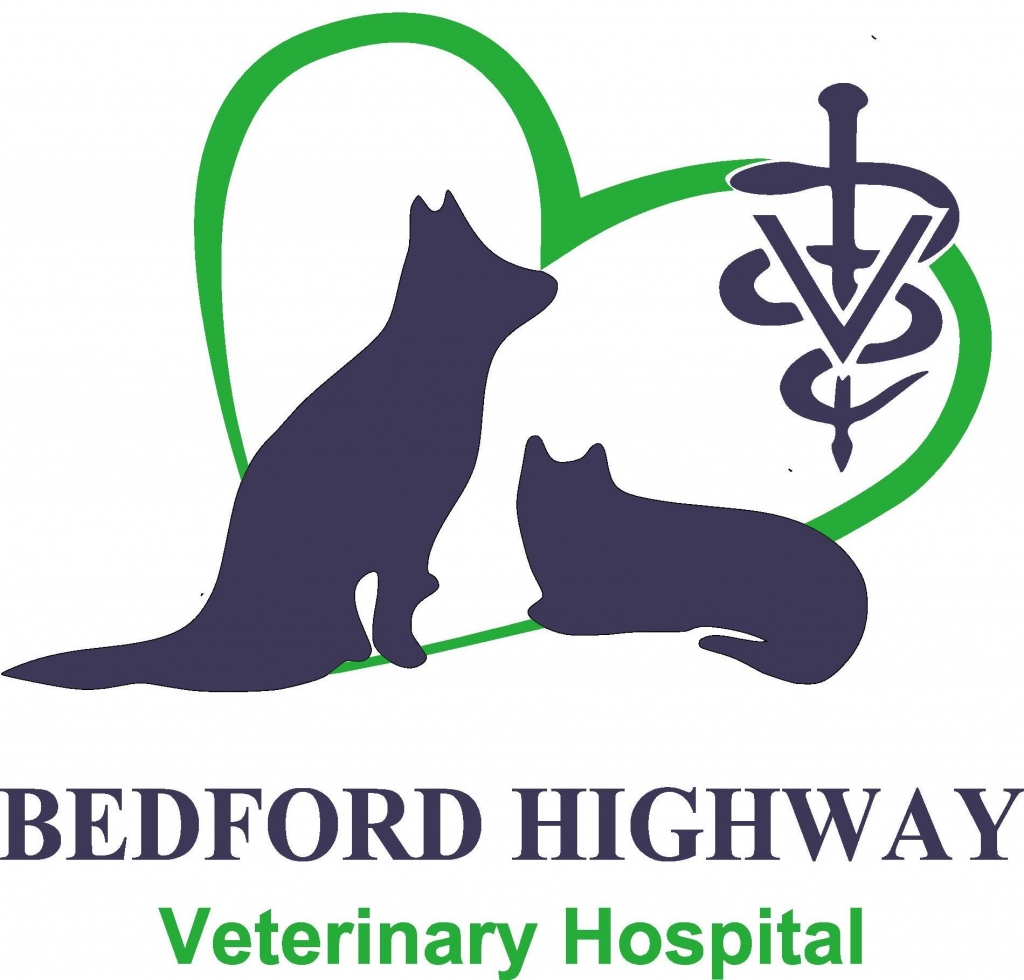 Bedford Highway Veterinary Hospital 936 Bedford Highway Bedford NS Home