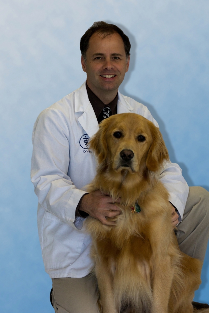 Our Doctors Bedford Highway Veterinary Hospital