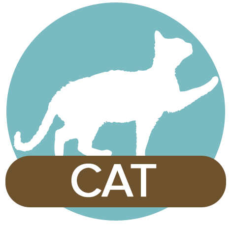 cat icon