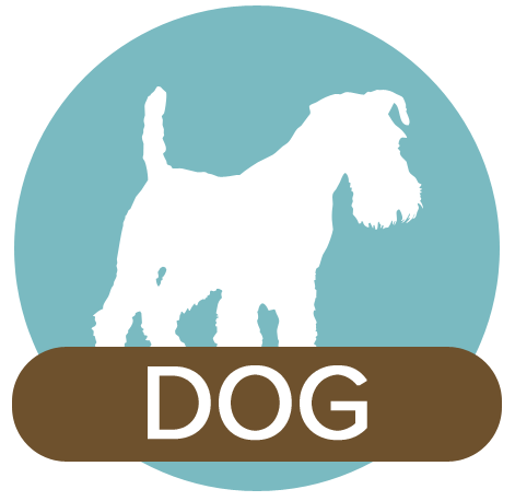 Dog Icon